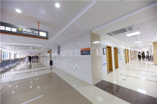 醫(yī)院項目可行性研究報告