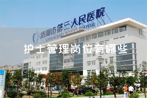 護(hù)士管理崗位有哪些(圖1) 護(hù)士管理崗位有哪些(圖1)