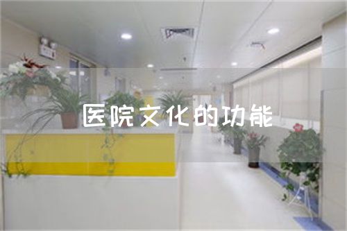 醫(yī)院文化的功能(圖1)