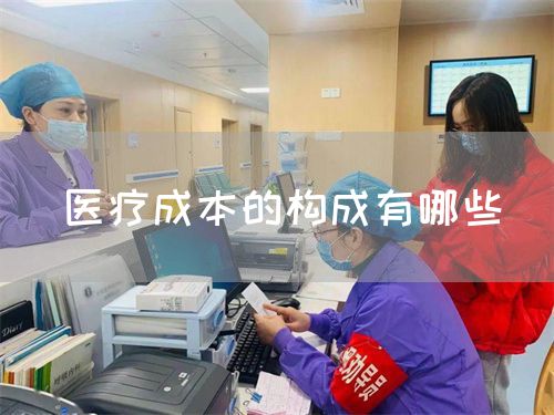 醫(yī)療成本的構(gòu)成有哪些(圖1)
