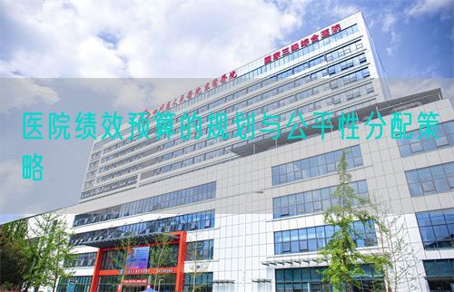 醫(yī)院績效預(yù)算的規(guī)劃與公平性分配策略(圖1) 醫(yī)院績效預(yù)算的規(guī)劃與公平性分配策略(圖1)