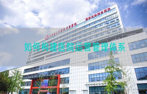 如何構(gòu)建醫(yī)院運(yùn)營管理體系(圖1)