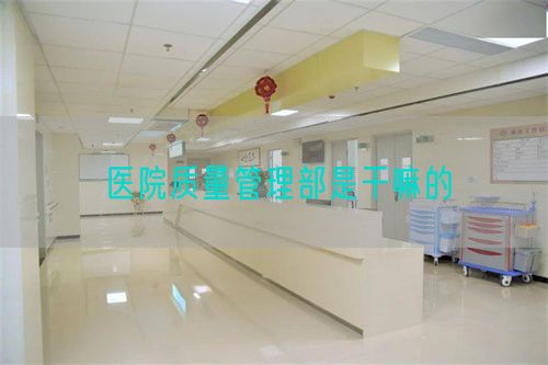 醫(yī)院質(zhì)量管理部是干嘛的(圖1)