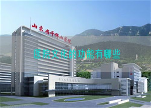 醫(yī)院文化的功能有哪些(圖1)