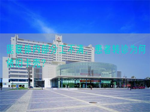 醫(yī)聯(lián)體內(nèi)部分工不清，患者轉(zhuǎn)診為何依舊卡殼？(圖1)