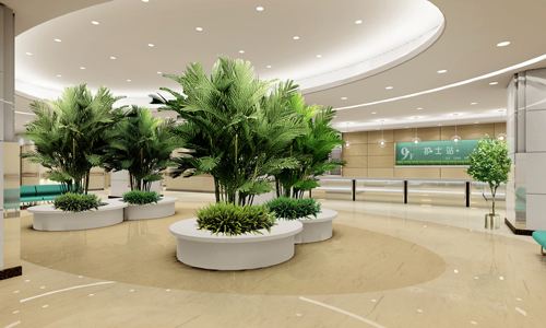 醫(yī)院綠化的內(nèi)容有哪些？分享現(xiàn)代醫(yī)院綠化建設(shè)要求(圖2)